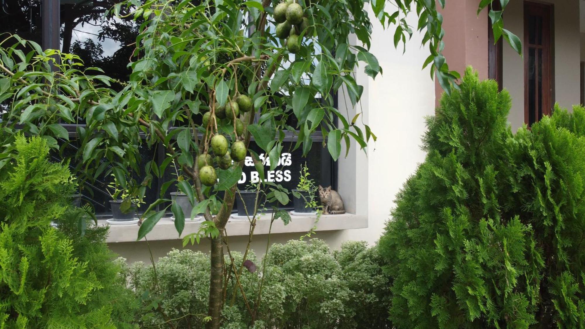 Wis Villa Galle Bagian luar foto